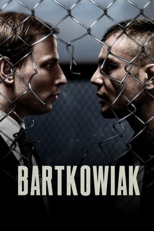 Bartkowiak (2021) Hindi Dual Audio 480p HDRip 300MB