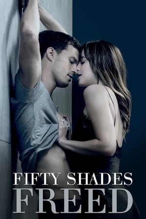 Fifty Shades Freed (2018) Hindi Dual Audio 480p BluRay 400MB