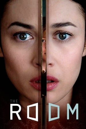 The Room 2019 Hindi Dual Audio 720p BluRay [900MB]